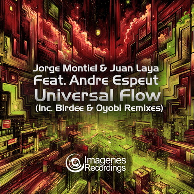 Jorge Montiel, Juan Laya & Andre Espeut - Universal Flow (Remixed by Birdee & Oyobi)