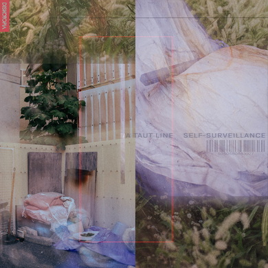 A Taut Line - Self-Surveillance