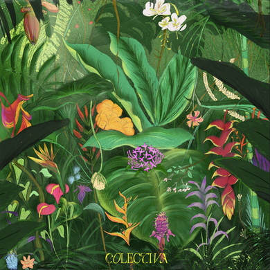 Colectiva - Colectiva