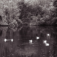 Viktor Ori & Adam the World - chcem ti chýbať