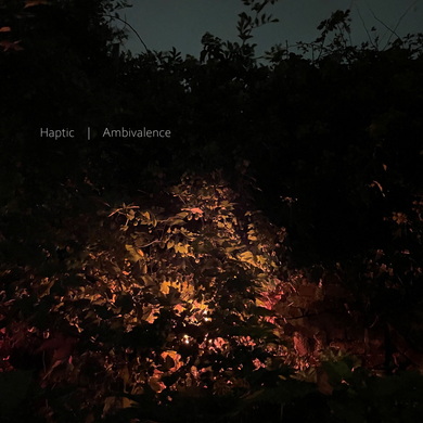 Haptic - Ambivalence