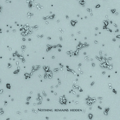 Brendon Moeller - Nothing Remains Hidden