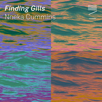 Nneka Cummins - Finding Gills