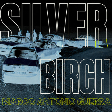 Silver Birch - Marco Antonio Guerra