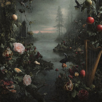 m preis - cold summer (snow over your bare knees) / now tell me lady, how would you rather die?