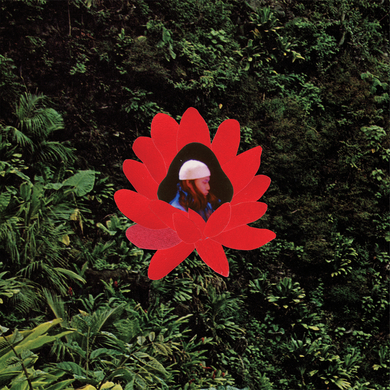 Lionmilk - WHEN THE FLOWERS BLOOM