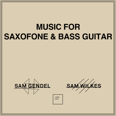 Sam Gendel & Sam Wilkes - Music for Saxofone & Bass Guitar