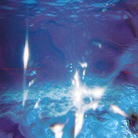 Fabiano do Nascimento, E Ruscha V - Aquáticos