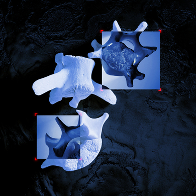 Assimilated - Totem Collapse EP