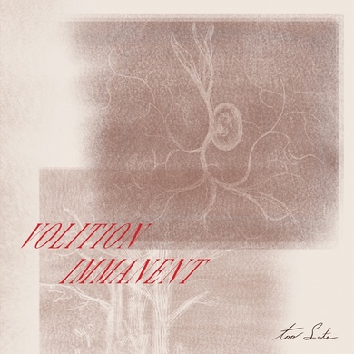 Volition Immanent - Too Late