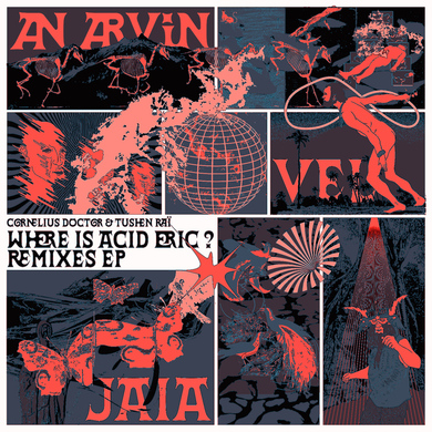 Cornelius Doctor,Tushen Raï - Where Is Acid Eric? (Remixes)