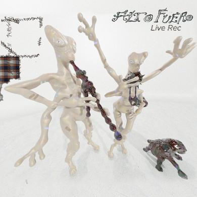 Alto Fuero - Live Rec