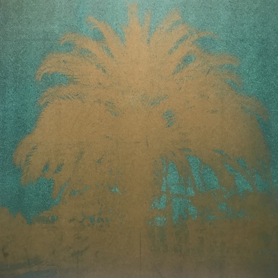 Viola Klein - New Chapter