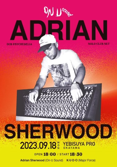 ADRIAN SHERWOOD dub psychedelia solo club set