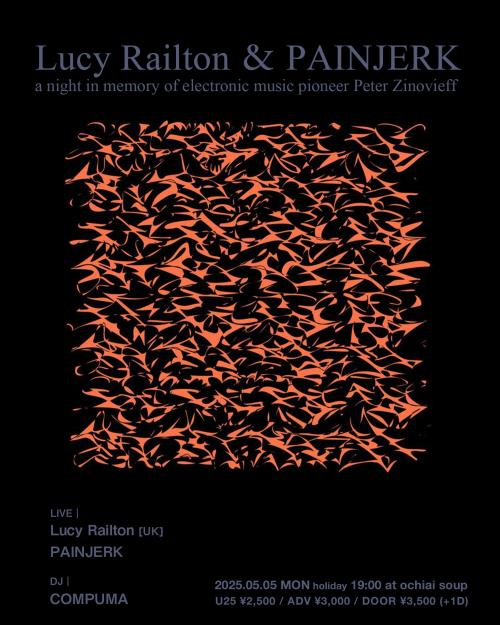 Lucy Railton & PAINJERK -a night in memory of electronic music pioneer Peter Zinovieff-