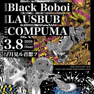 Do Not Disturb! vol.11