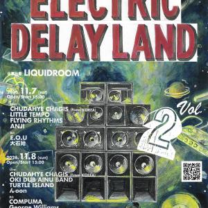 ELECTRIC DELAY LAND Vol.2