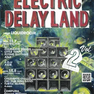 ELECTRIC DELAY LAND Vol.2