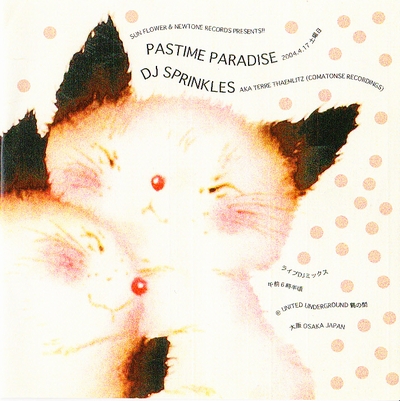 DJ Sprinkles Aka Terre Thaemlitz - Deeperama Pastime Paradise DJ Mix : CD-R