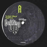 Theo Parrish - Falling Up (Original Version & Remixes) : 2x12inch