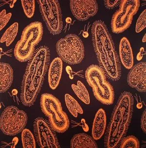 Michael Walsh - Before When It Was New EP : 12inch