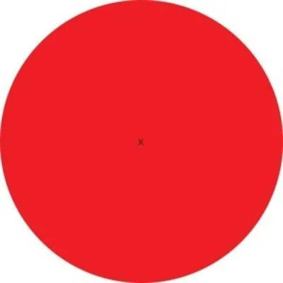 Cos/Mes / Chida - 12 Inches For Japan : 12inch