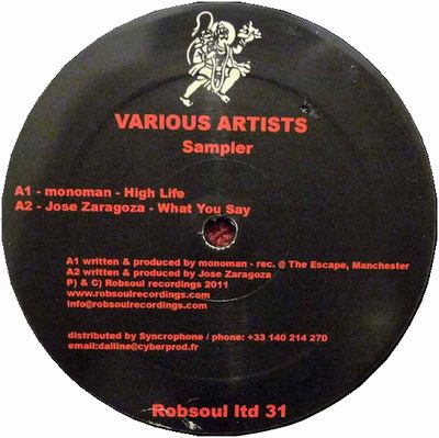 Various - Robsoul Ltd 31 Sampler : 12inch