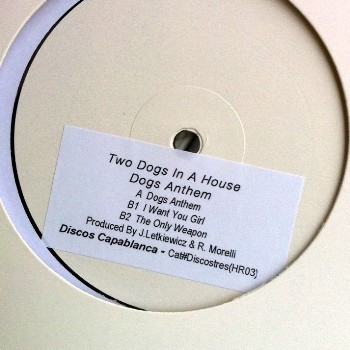 Two Dogs In A House - Dogs Anthem