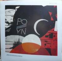 Pollyn - Sometimes You Just Know : 12inch