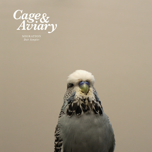 Cage & Aviary - Migration - Dub Sampler : 12inch