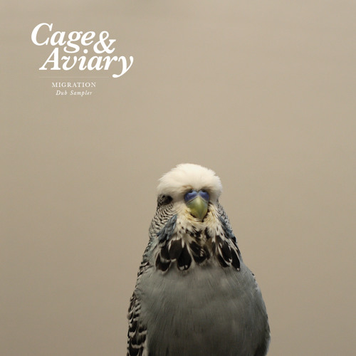 Cage & Aviary - Migration - Dub Sampler