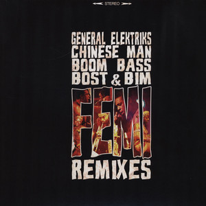Femi Kuti - Remixes : 12inch