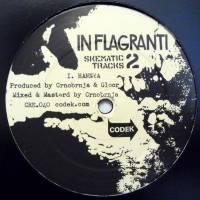 In Flagranti - Skematic Tracks Vol Two : 12inch
