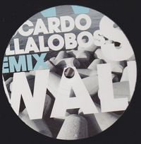 Envoy - Seawall (Ricardo Villalobos Remix) : 12inch