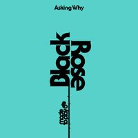 Black Rose - Asking Why : 12inch