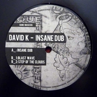 David K - Insane Dub : 12inch