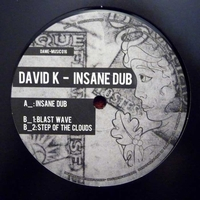 David K - Insane Dub