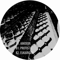 Acronym - Dimensional Exploration 001