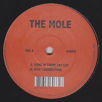 The Mole - Hang In There Fry Guy : 12inch