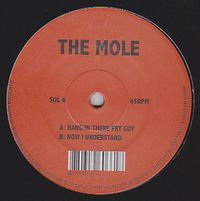 The Mole - Hang In There Fry Guy