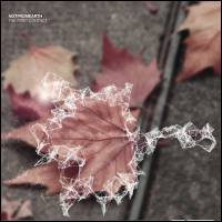 Notfromearth - The First Contact