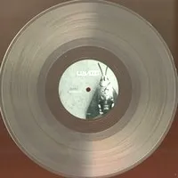 Lin/Log - Output : 12inch