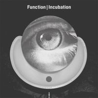 Function - Incubation : 2LP