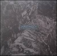 Jared Wilson - A Little Moonlight Dancing