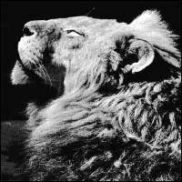 Anthony Naples - El Portal EP : 12inch
