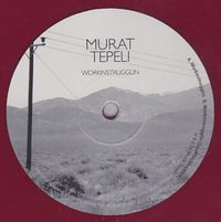 Murat Tepeli - Workinstrugglin, Soulphiction Remix : 12inch