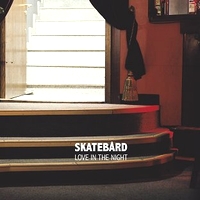 Skatebard - Love In The Night : 12inch