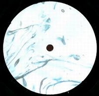 Abdulla Rashim - Semien Terara : 12inch