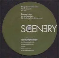 Deep Space Orchestra / Bantam Lions - We Held On : 12inch