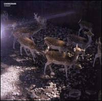 Cassegrain - Tiamat